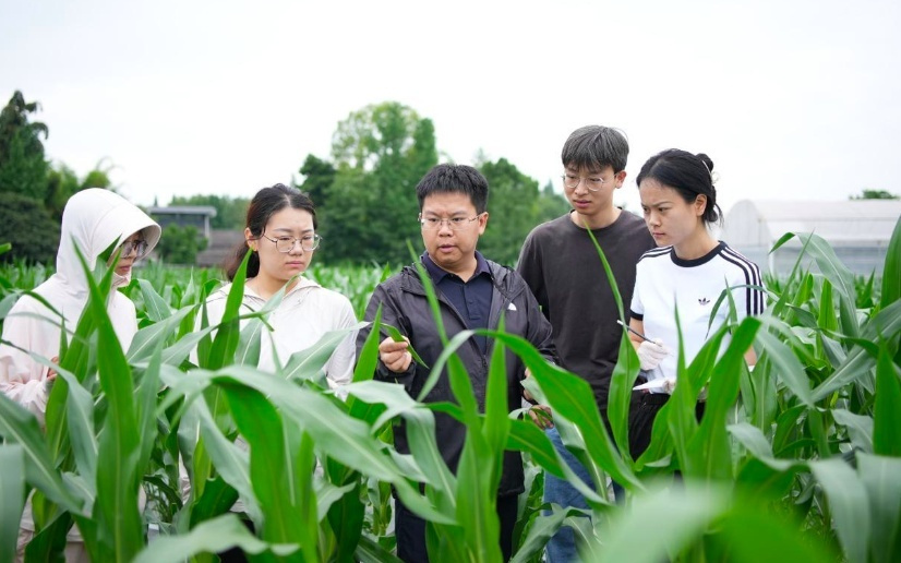 我国实现硅基量子芯片关键材料量产,AI独立完成首个重大发现,马斯克成为首个万亿富翁