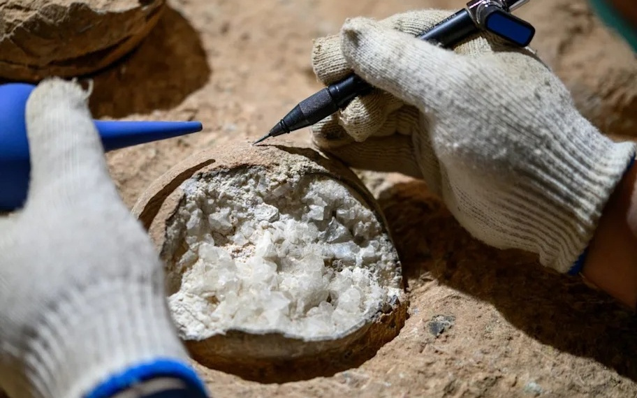 8600 万年前！我国科学家全球首次准确测定恐龙蛋化石年龄