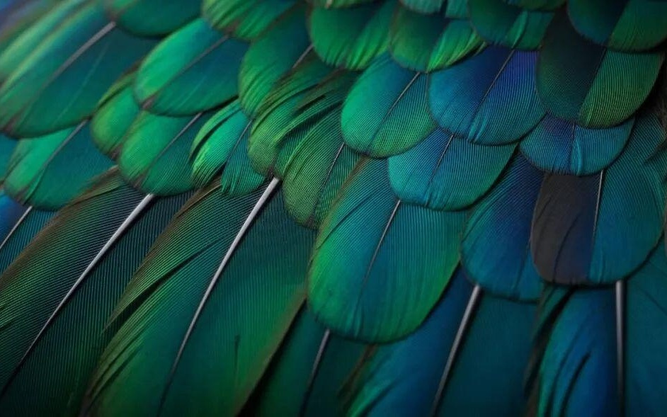 「好用又便宜」的 Nano Banana 2 来了，这次能改变你的出图工作流吗？