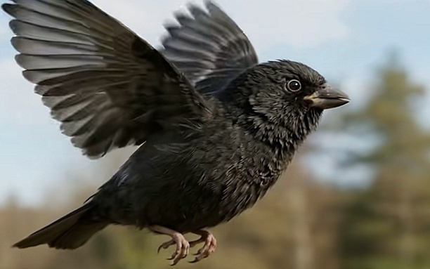 小白也能出大片！小云雀上線字節最新視頻模型，一句話復刻熱門爆款