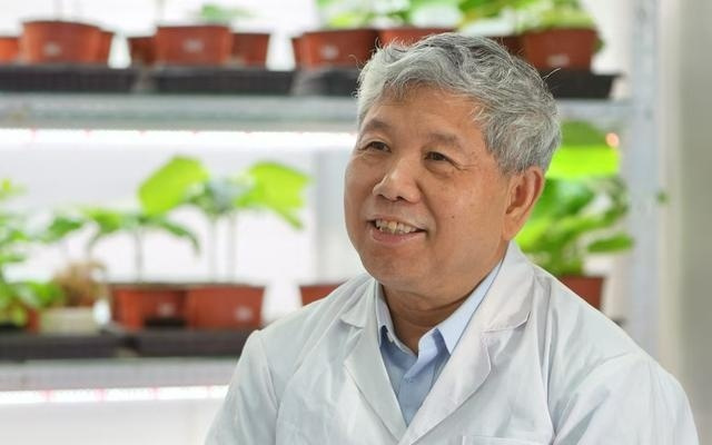 为林木育种装上“科技芯” 全国政协委员呼吁构建全链条体系