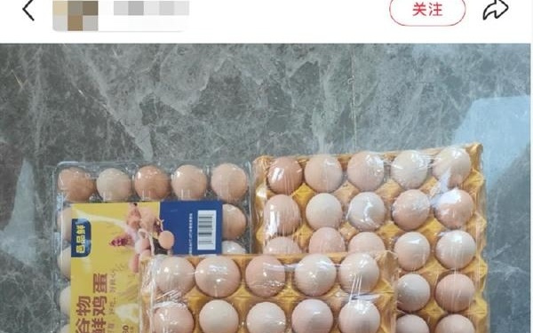 阿里千问辟谣免单卡只可买奶茶：每代人也依然都会领鸡蛋