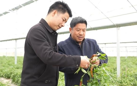 AI入乡，解锁乡村振兴“数字密码”