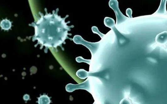 尼帕病毒沸水加热15分钟可灭活