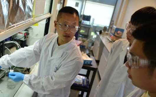 世上头一回！中国搞定电合成氨全球难题，《科学》发表交大绿氨量产颠覆性路径