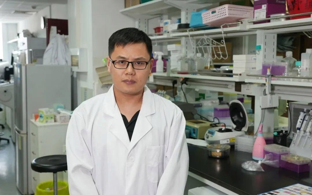 从啮齿类到灵长类的跨越！中国脑图谱大科学计划10项重要成果以论文集形式发布