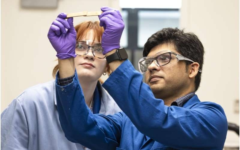 受贻贝启发，美国实验室研发出可重复使用多功能胶水