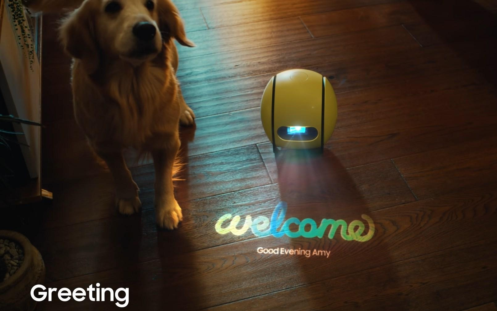 彭博社：三星已无限期搁置AI家庭机器人Ballie