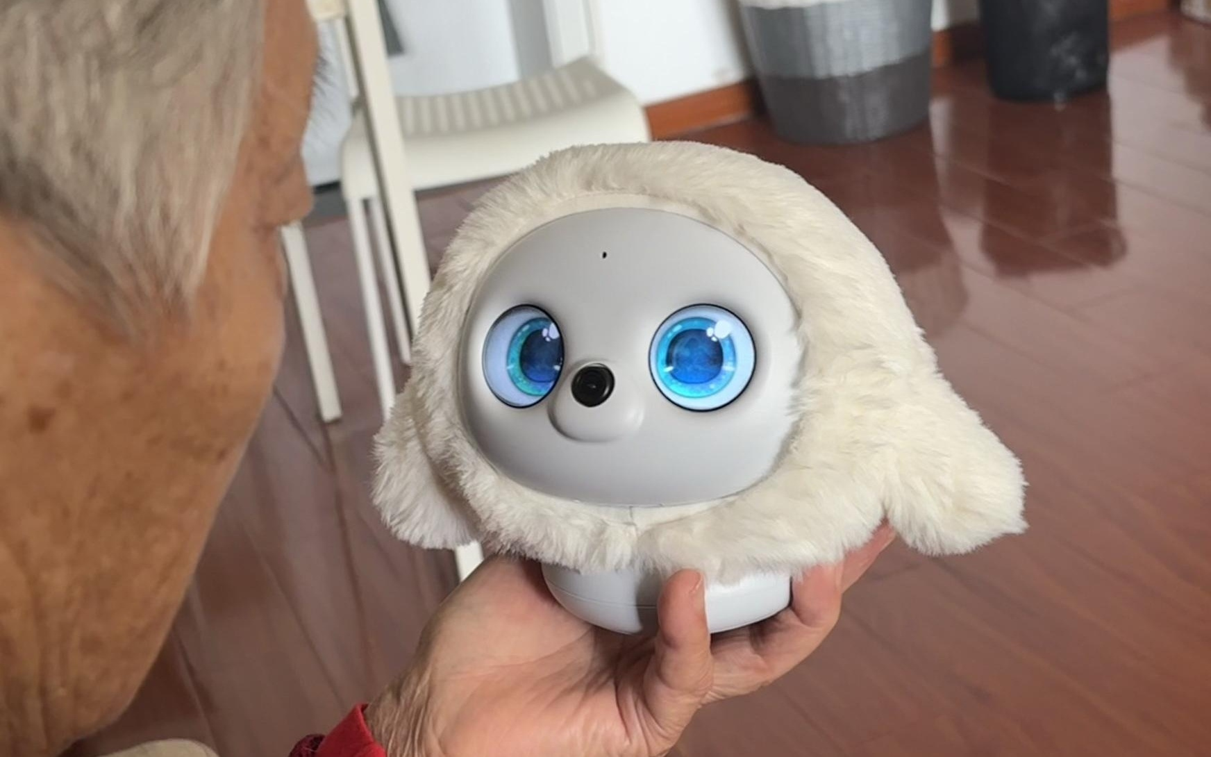 陪伴机器人的2026：反大模型的产品更好用？争夺AI应用入口