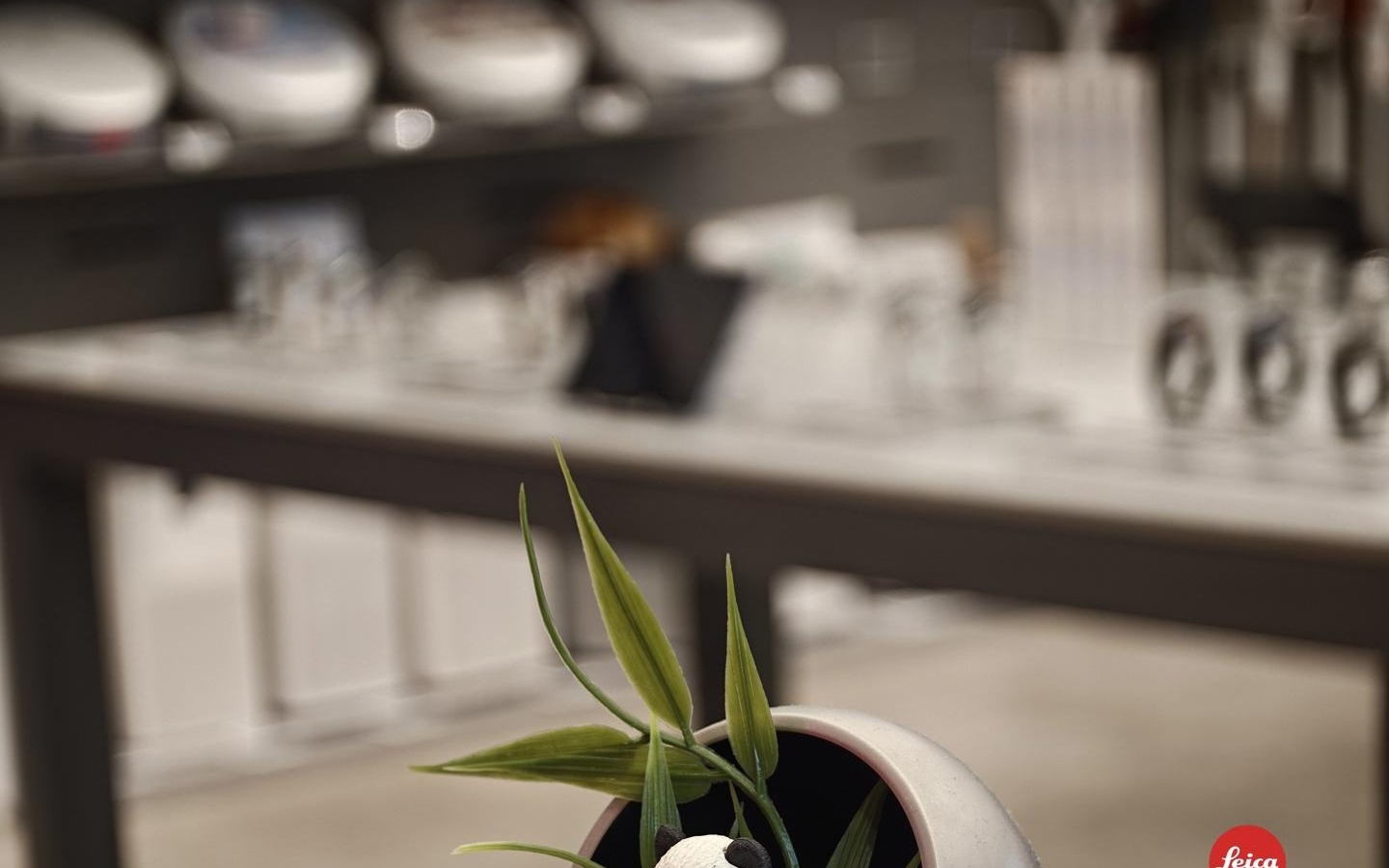 小米海外版新机曝光,Logo变了