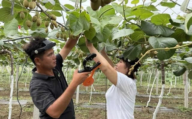 京东将发动数十万人给机器人“当老师”,打造全球最大具身智能数据采集中心