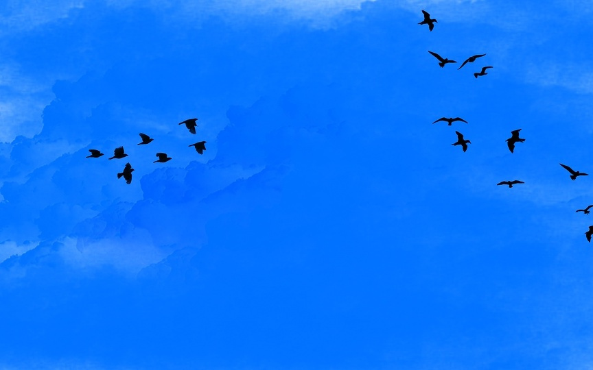 鲸犀招「硬」人丨只做有一手信息、有认知、有影响力的深度内容