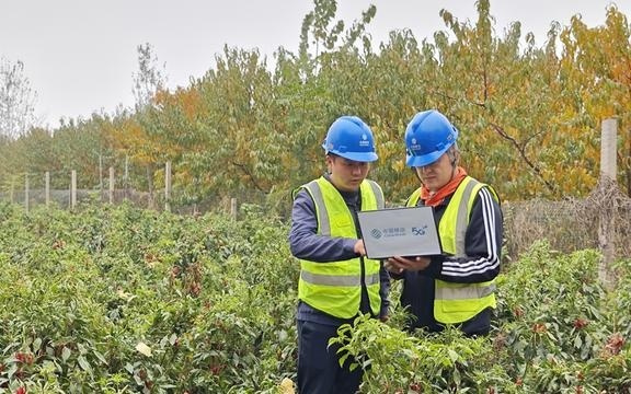 安阳移动内黄分公司：满格信号为丰收之旅添彩