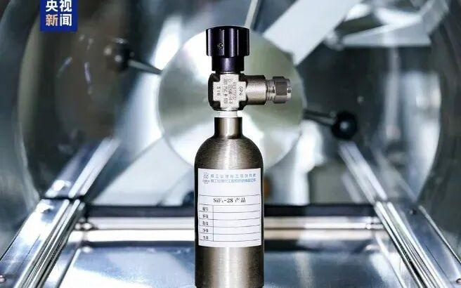 谁说鱼的记忆只有7秒?|博览日报