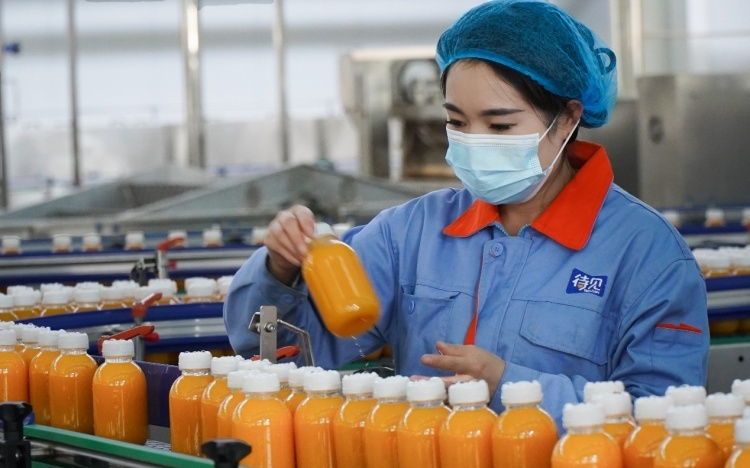 北漂返乡、日销千单：吕梁沙棘产业借拼多多实现人才、销量“双回流”