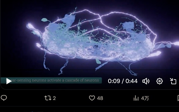 果蝇全脑“上传”，竟能驱动虚拟身体自主行动！复制人脑还会远吗？