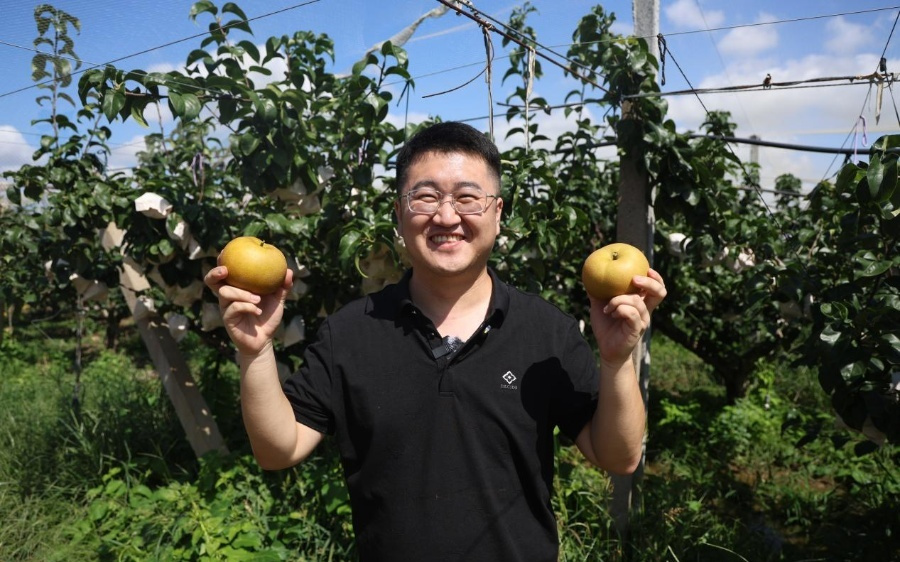 拼多多财报背后：下一个十年，拼多多用生态重构护城河