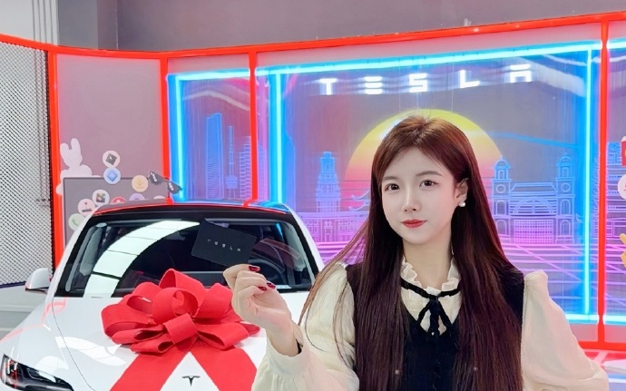 特斯拉的女车主们！
