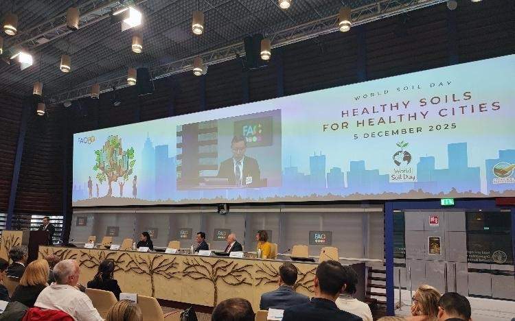 中国科学家获联合国粮农组织世界土壤奖