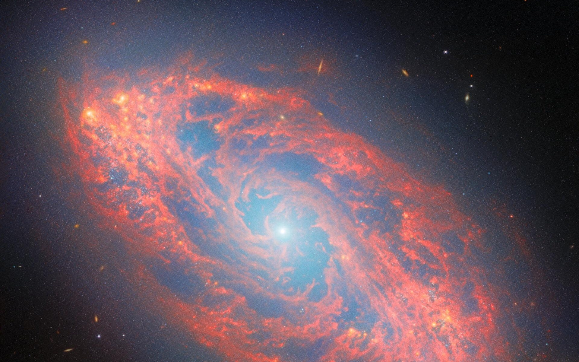 欧空局发布2月图赏，聚焦6500万光年外螺旋星系NGC 5134