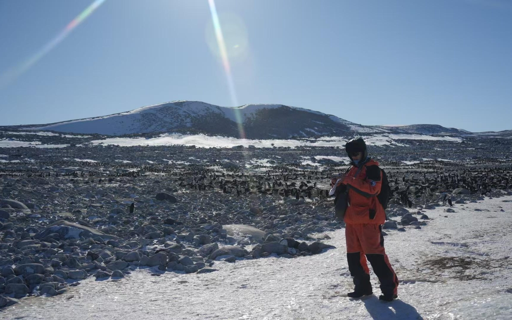 科学与健康 | 跨越三十余年！中国考察队与阿德利企鹅的南极之约
