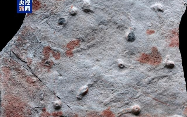 科学家发现迄今最古老的复杂三维潜穴系统