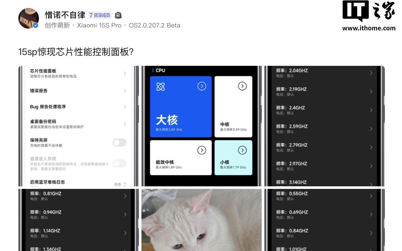 消息称小米15S Pro上线芯片性能面板，可手动调节频率/电压