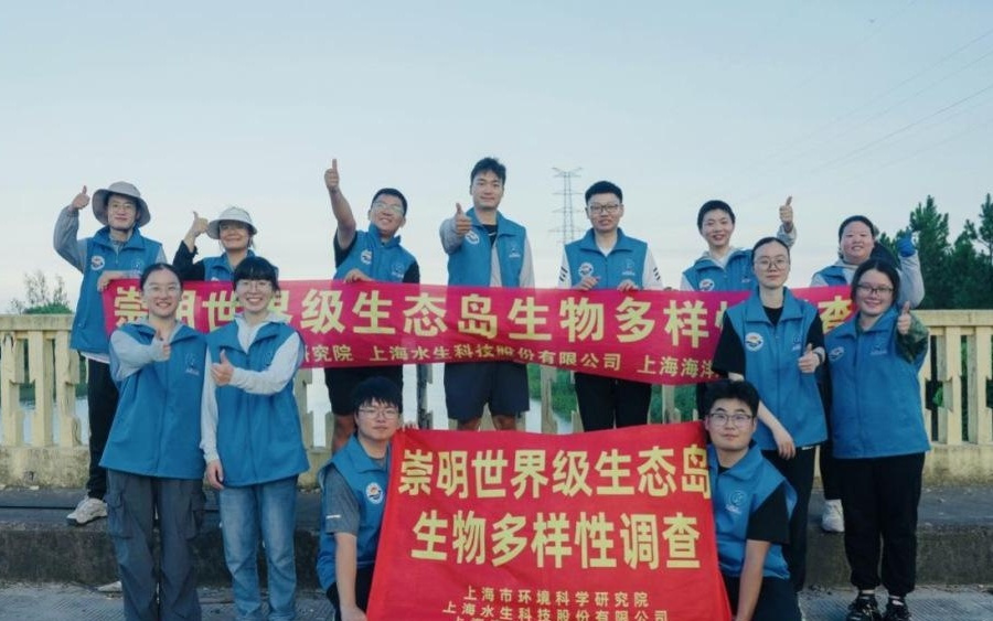 上海科研团队在崇明发现硅藻门新物种，呈现世界级生态岛生物多样性