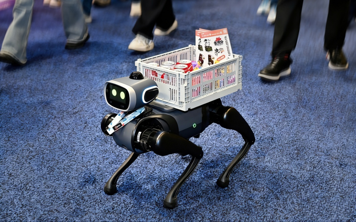 消费级具身智能要火？售价不到1万的这台机器狗，卖了近亿元