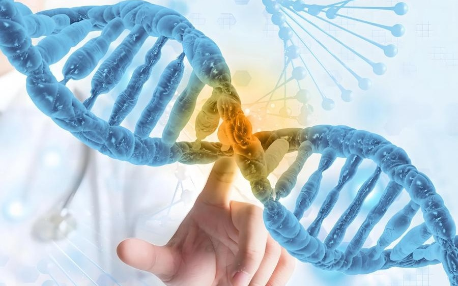 “百万一针”抗癌药有望降至万元！上海体内CAR-T新疗法临床试验在即