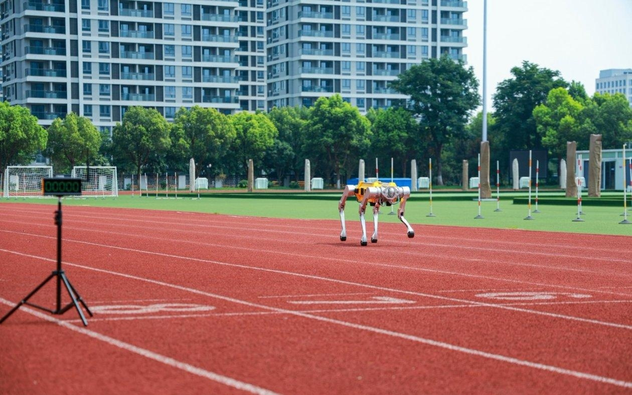 百米冲刺16.33秒！浙江大学四足机器人“白犀”破吉尼斯世界纪录