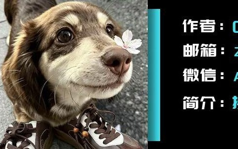 本周 AI 项目推荐：Link、Agentic Wallets、Token Pay......Token支付底座长啥样