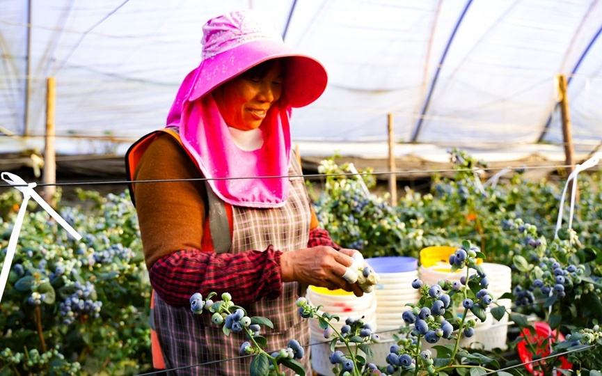 拼多多“千亿扶持”一周年盘点：偏远乡村纳入“包邮区”，东西部经济活力持续释放