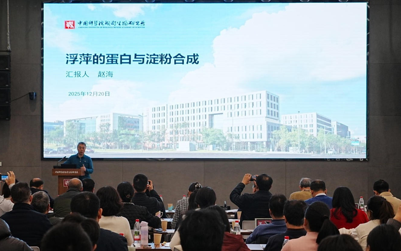 从诗中“配角”到科研“明星”，浮萍正在颠覆未来农业