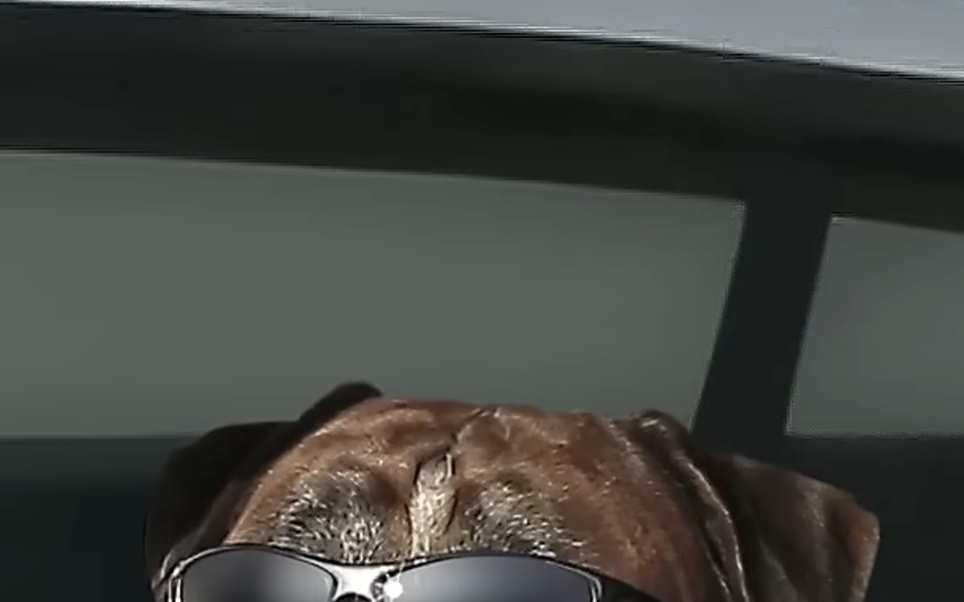 三星Galaxy S26系列手机官宣，有望强化长焦变焦能力及夜间视频