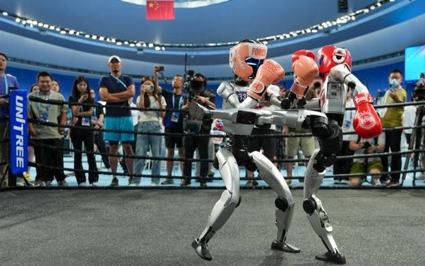 从“炫技”到“干活” ,人形机器人还需解决哪些难题?