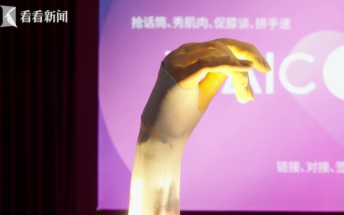 00后实习生“总工”,想做怎样的人工智能?
