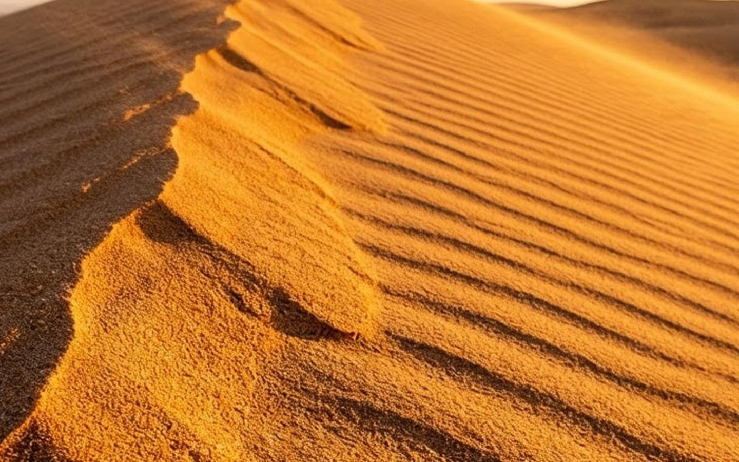 跻身全球前三：微软最强生图AI模型MAI-Image-2登场