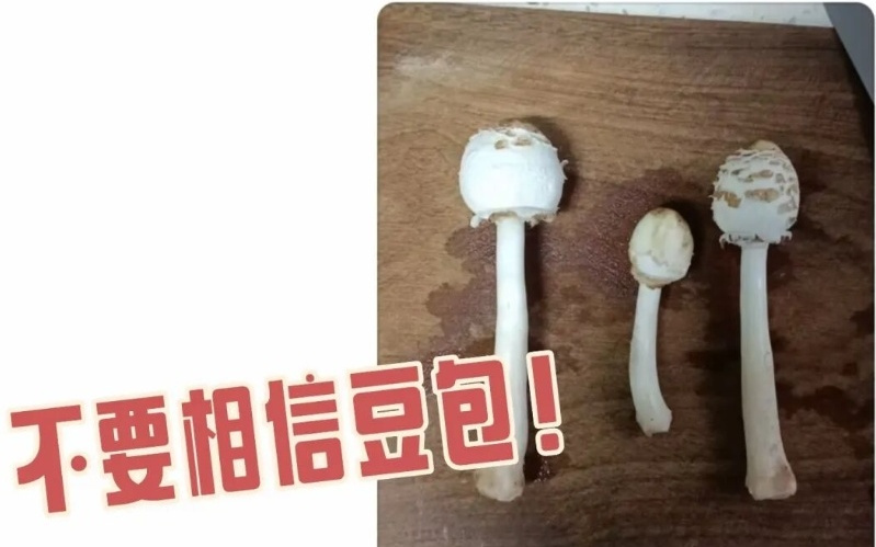 黄仁勋与韩国三名商界大佬聚会：吃辣椒、学紫苏叶包肉，LG集团会长负责烤肉