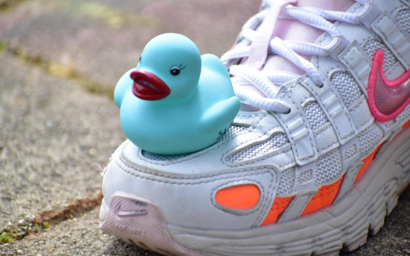 篮球鞋摩擦为何会发出吱吱声？哈佛大学揭秘背后物理规律