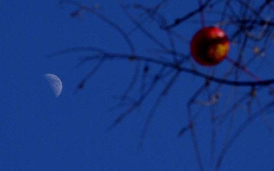 大写D！今年最亮最大上弦月现身夜空
