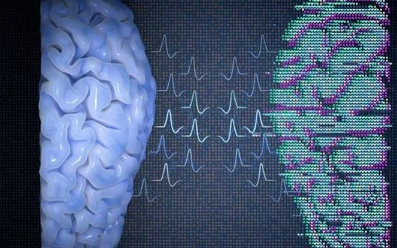 数字孪生脑 让人工智能“自己思考”