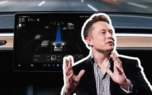 特斯拉最忠实的铁粉，成了最愤怒的原告