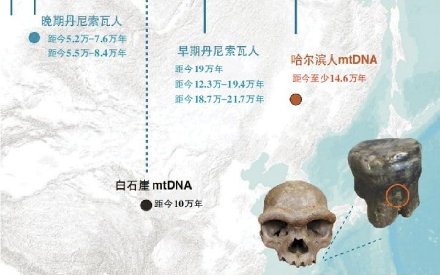 牙结石揭秘：14.6万年前哈尔滨“龙人”竟是丹尼索瓦人