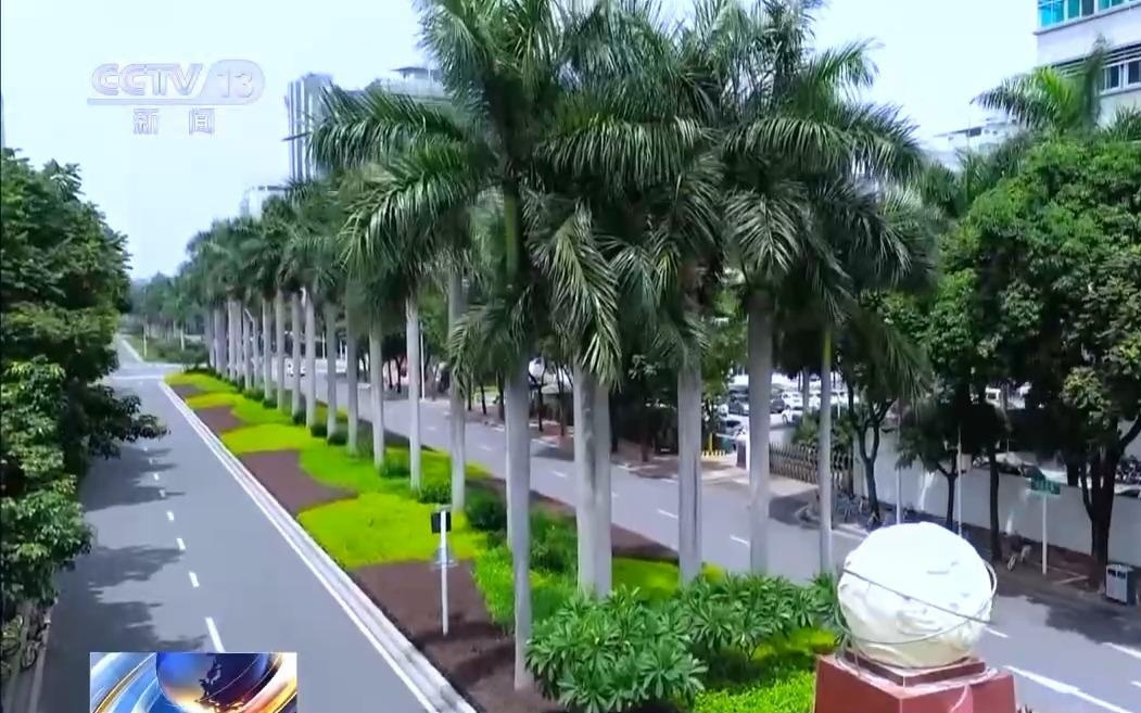 打破信息孤岛 全国首个城域级场景公共服务平台正式运营