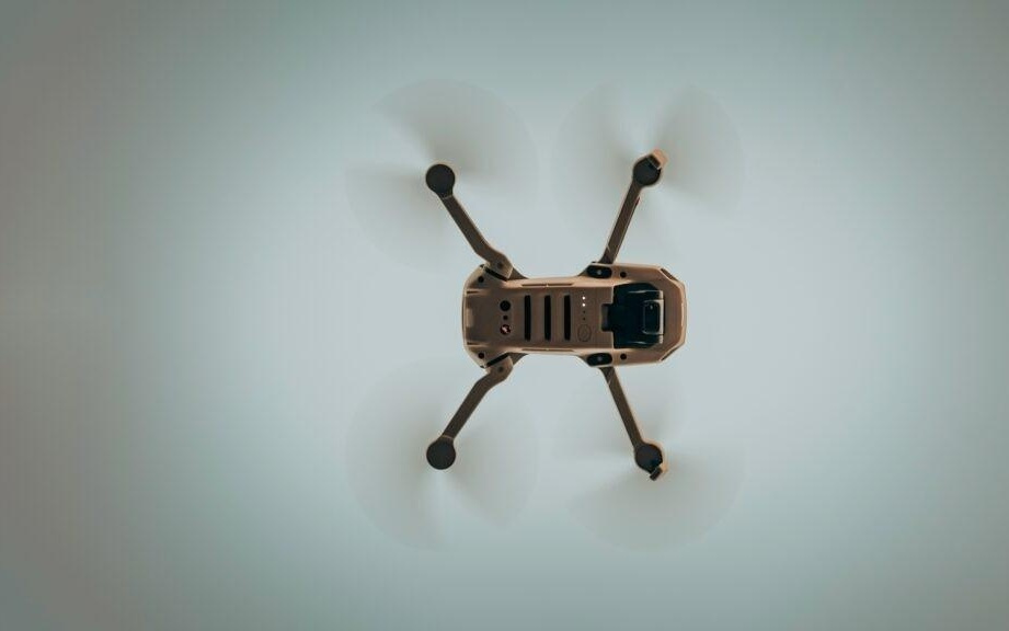 那些昆虫“教”给AI的事