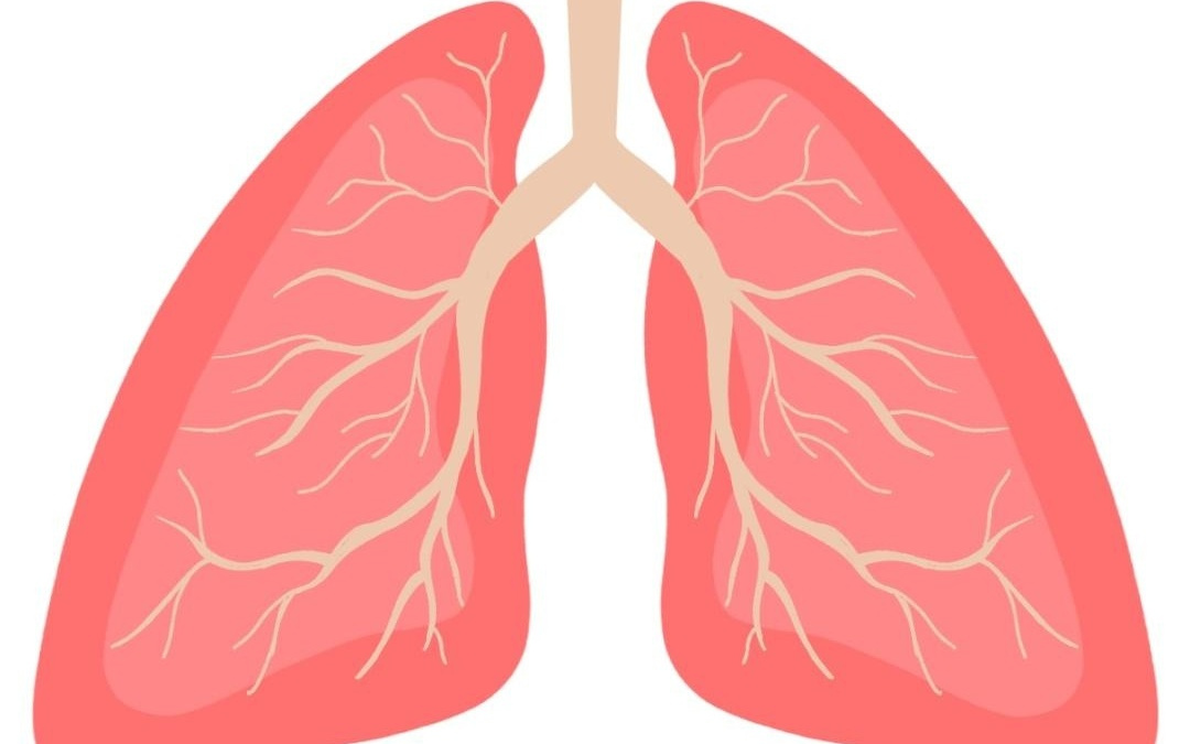 破解耐药困局！中山医院胸外科团队首次揭示靶向CD24可助力EGFR-TKI增效抗肺癌