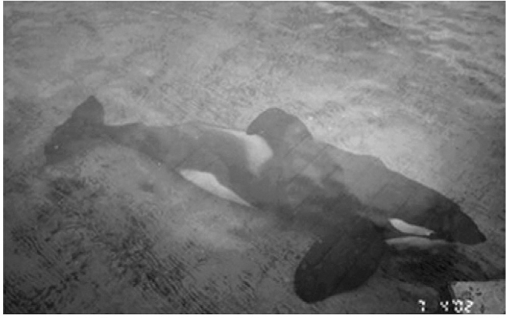 AI，为什么也需要睡觉？