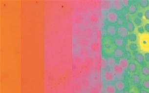 新型合成皮肤同时改变质地与颜色