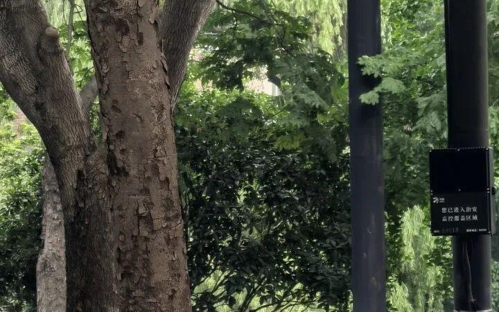 一大众品牌新能源车起火